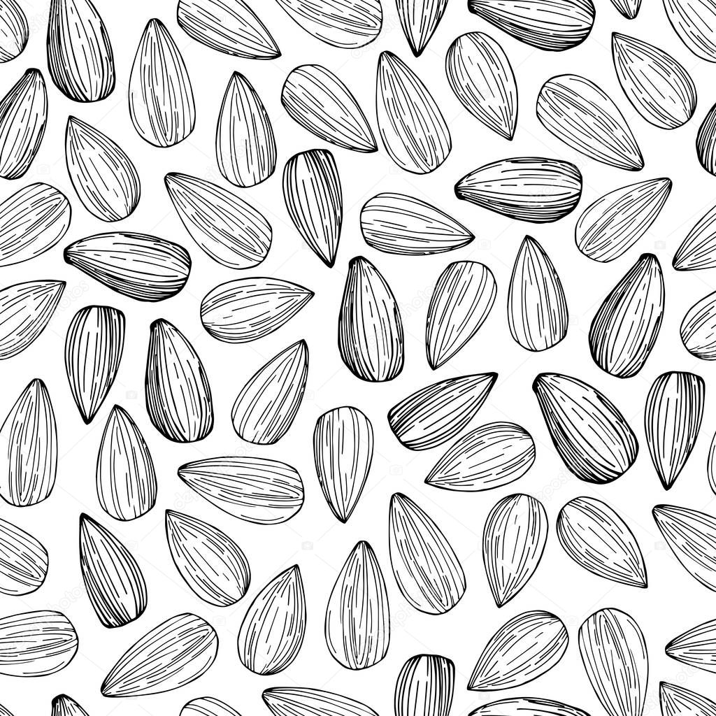 Hand drawn sunflower  seeds. Vector seamless pattern
