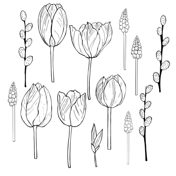 Handgetekende lentebloemen. — Stockvector