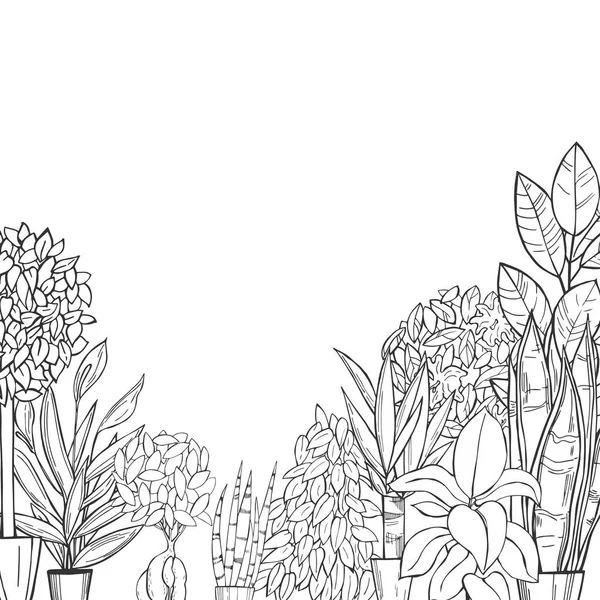 Fondo vectorial con plantas de interior dibujadas a mano . — Vector de stock