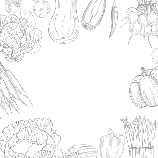 Handgezeichnetes Gemüse auf weißem Hintergrund. — Stockvektor