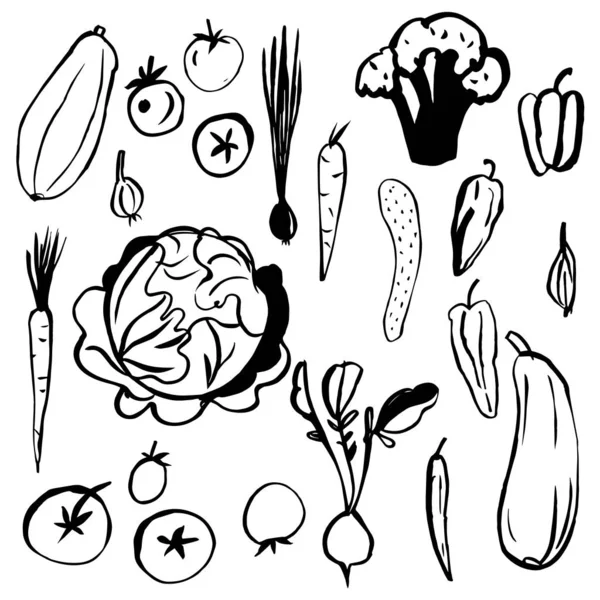 Hand drawn vegetables on white background. — Stock Vector