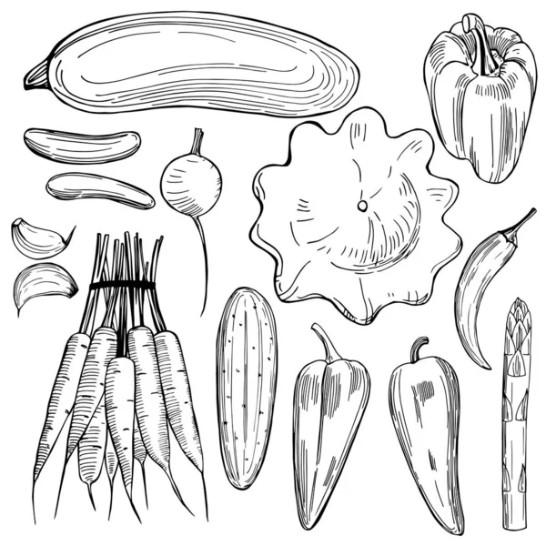 Legumes Desenhados Mão Sobre Fundo Branco Desenho Vetorial Ilustração — Vetor de Stock