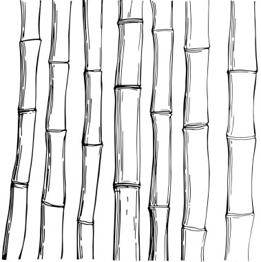 Bambu. Vektör çizimi çizimi
