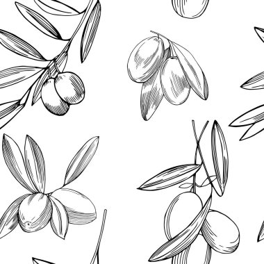  Zeytin dalları ile vektörsüz desen.