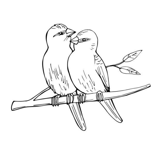 枝の上に二羽の鳥が座っている ベクトルスケッチイラスト — ストックベクタ