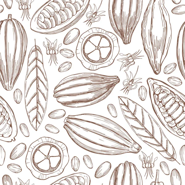 El yapımı kakao çekirdeği. Vektör dikişsiz desen..