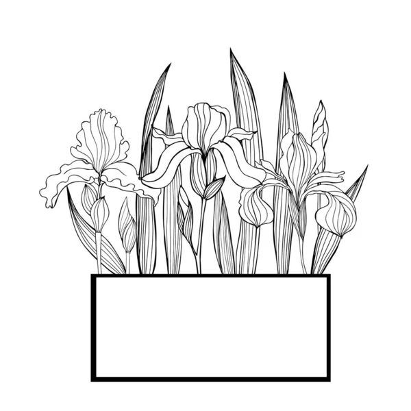 Ramka Wektorowa Ręcznie Rysowanymi Kwiatami Tęczówki — Wektor stockowy