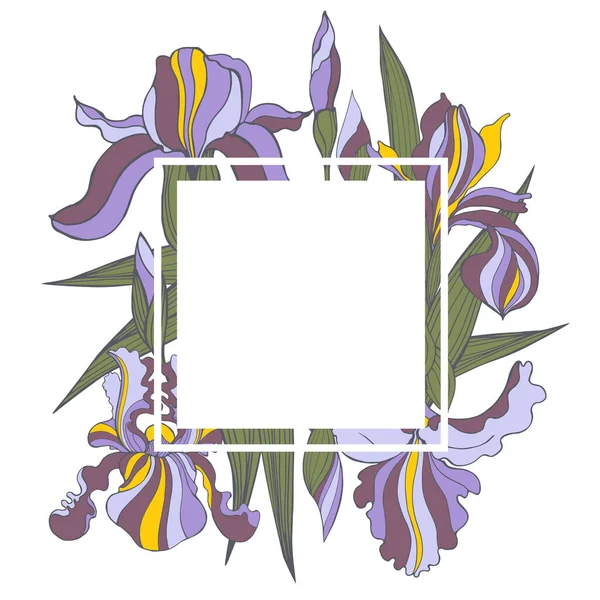 Vektorrahmen Mit Handgezeichneten Irisblumen — Stockvektor
