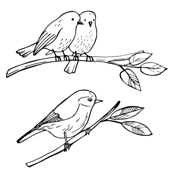 Birds Sitting Branch Vector Sketch Illustration — Stock Vector