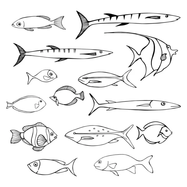 Peces Marinos Dibujo Vectorial Ilustración — Archivo Imágenes Vectoriales