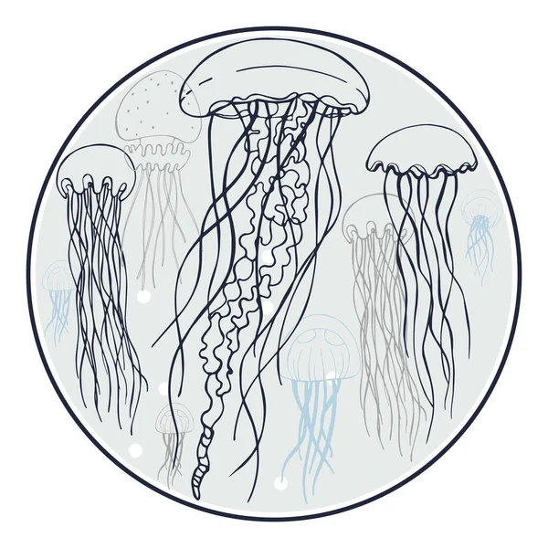 Medusas Dibujo Vectorial Ilustración — Vector de stock