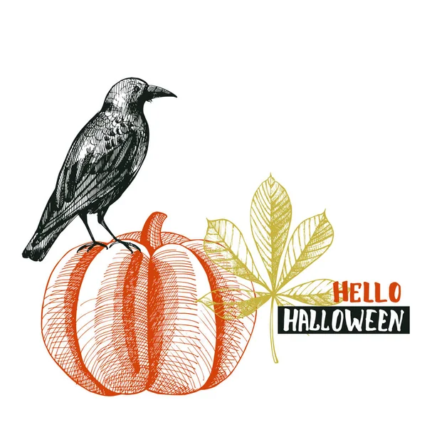 Raven Pumpkin Halloween Vector Hand Drawn Illustration — Stock Vector