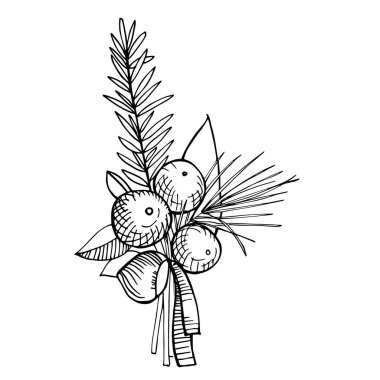 Kış buketi. Vektör çizimi çizimi.