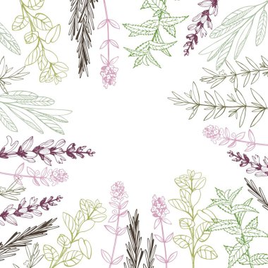 Bitkiler. Çizim vektör illüstrasyonu.