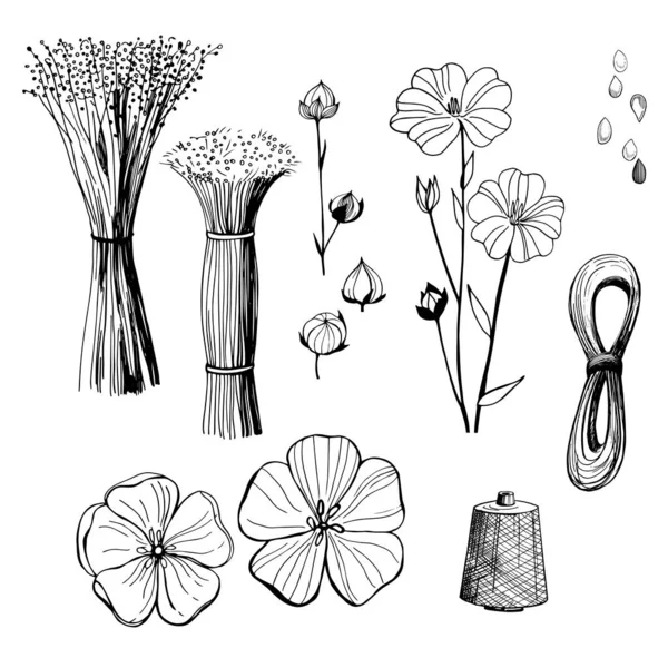 Ręcznie Rysowane Kwiaty Kwiaty Lnu Czarno Biała Linia Ilustracja Kwiatów — Wektor stockowy