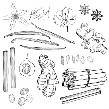 Tatlı olarak baharatlar ve pişirme. Vektör hazır. El çizimi çizimi çizimi