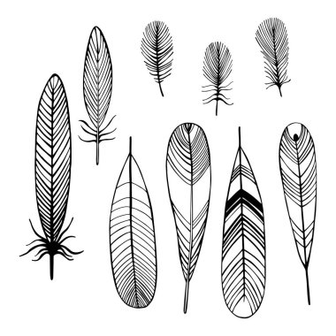 El yapımı kuş tüyü. Vektör çizimi çizimi.