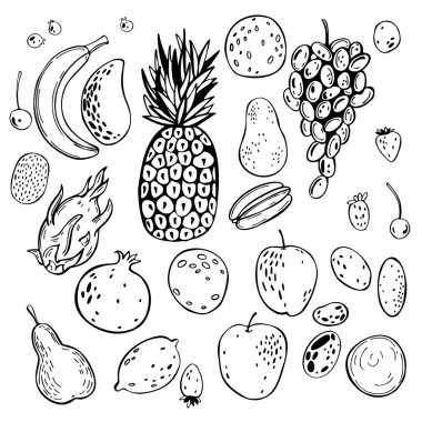El yapımı meyveler. Vektör çizimi çizimi.
