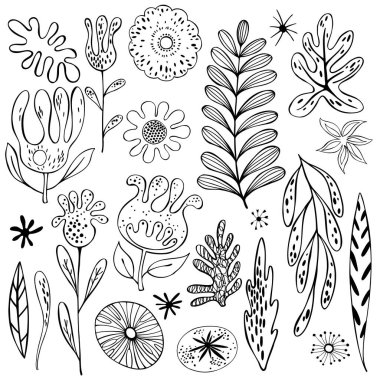 El çizimi çiçekler. Vektör çizimi çizimi 