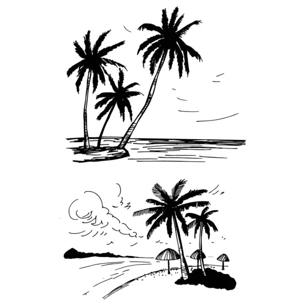 Paysages Dessinés Main Avec Des Palmiers Illustration Croquis Vectoriels — Image vectorielle