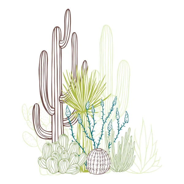 Succulenten Cactussen Woestijnplanten Vector Schets Illustratie — Stockvector