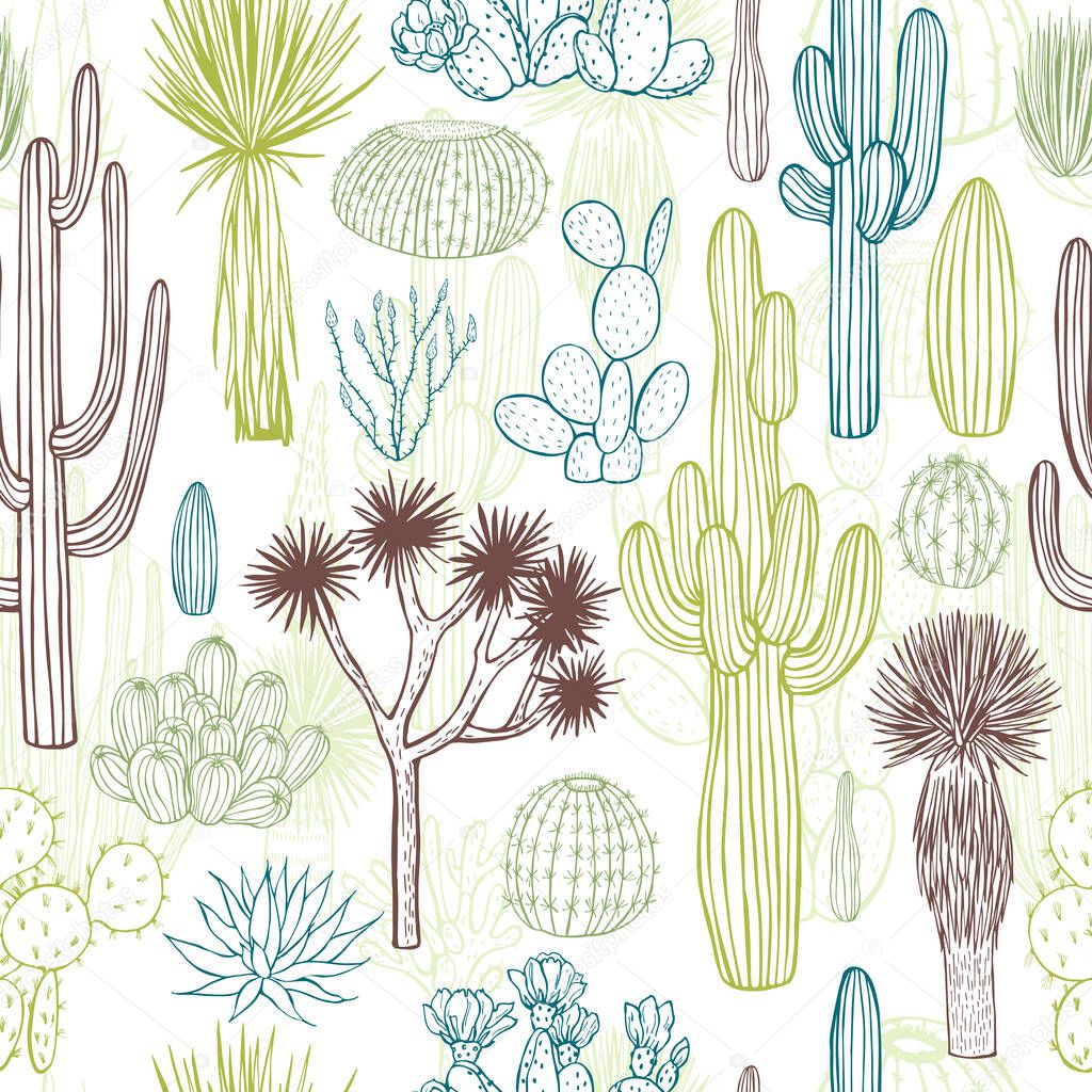 Desert plants, cacti. Vector  seamless pattern.