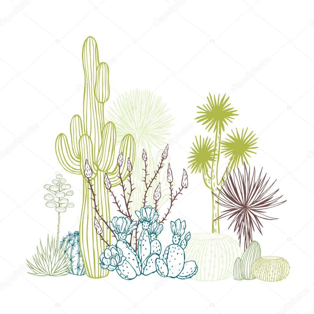 Succulents and cacti. Desert plants. Vector sketch  illustration.