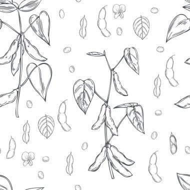 Beyaz arka planda elle çizilmiş soya fasulyesi. Vektörsüz desen.