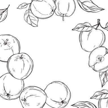 Elle çizilmiş elmalar. Meyveler. Vektör arkaplanı.