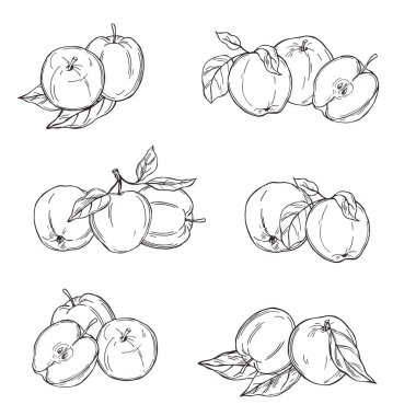 Elle çizilmiş elmalar. Beyaz arka planda meyveler. Vektör çizimi çizimi.