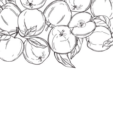 Elle çizilmiş elmalar. Meyveler. Vektör arkaplanı.