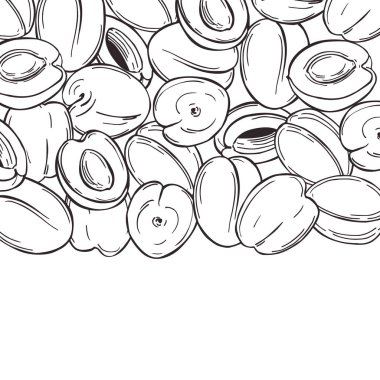 El çizimi kayısılar ile vektör arkaplanı.  