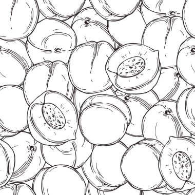 Beyaz arka planda elle çizilmiş şeftaliler. Vektörsüz desen. 