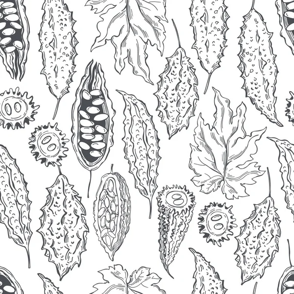 手描きのバルサム梨 白い背景にモモモルディカ ゴーヤゴーヤゴーヤゴーヤバルサムアップル ベクトルシームレスパターン — ストックベクタ