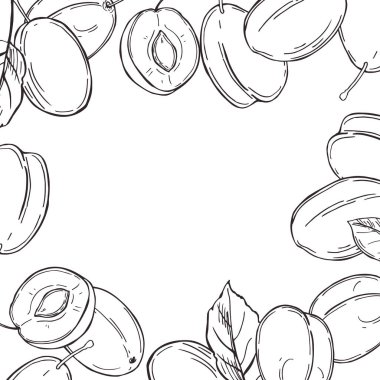 El yapımı erikler. Vektör arkaplanı. Çizim çizimi.