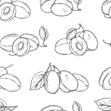 El yapımı erikler. Beyaz arka planda meyveler. Vektörsüz desen. 