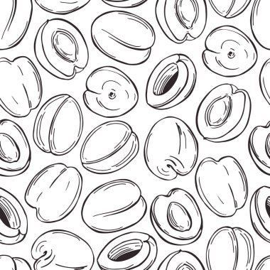 Beyaz arka planda elle çizilmiş kayısılar. Vektör dikişsiz desen.. 