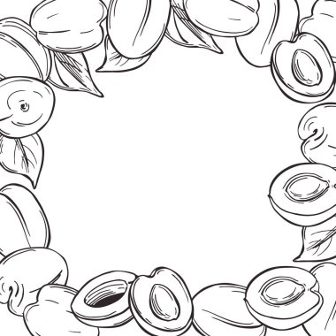 El yapımı kayısılar. Çizim çizimi. Vektör arkaplanı.