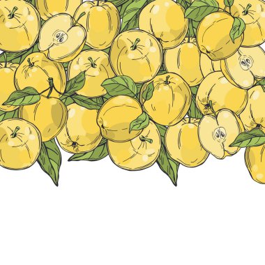 Elle çizilmiş elmalar. Vektör arkaplanı.