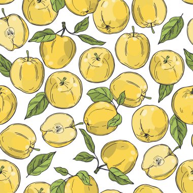 Elle çizilmiş elmalar. Beyaz arka planda meyveler. Vektörsüz desen. 