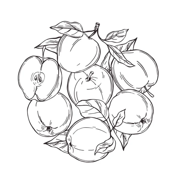 Handgezeichnete Äpfel Kreis Früchte Auf Weißem Hintergrund Vektorskizze Als Illustration — Stockvektor