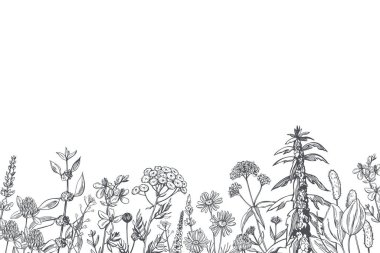 El yapımı şifalı bitkiler. Vektör arkaplanı. Çizim çizimi.