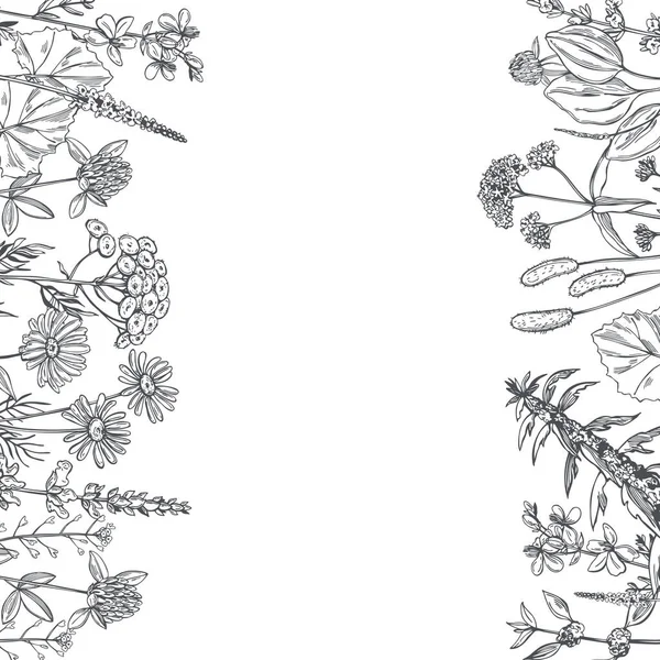 手で薬草を描いた ベクトル背景 スケッチイラスト — ストックベクタ