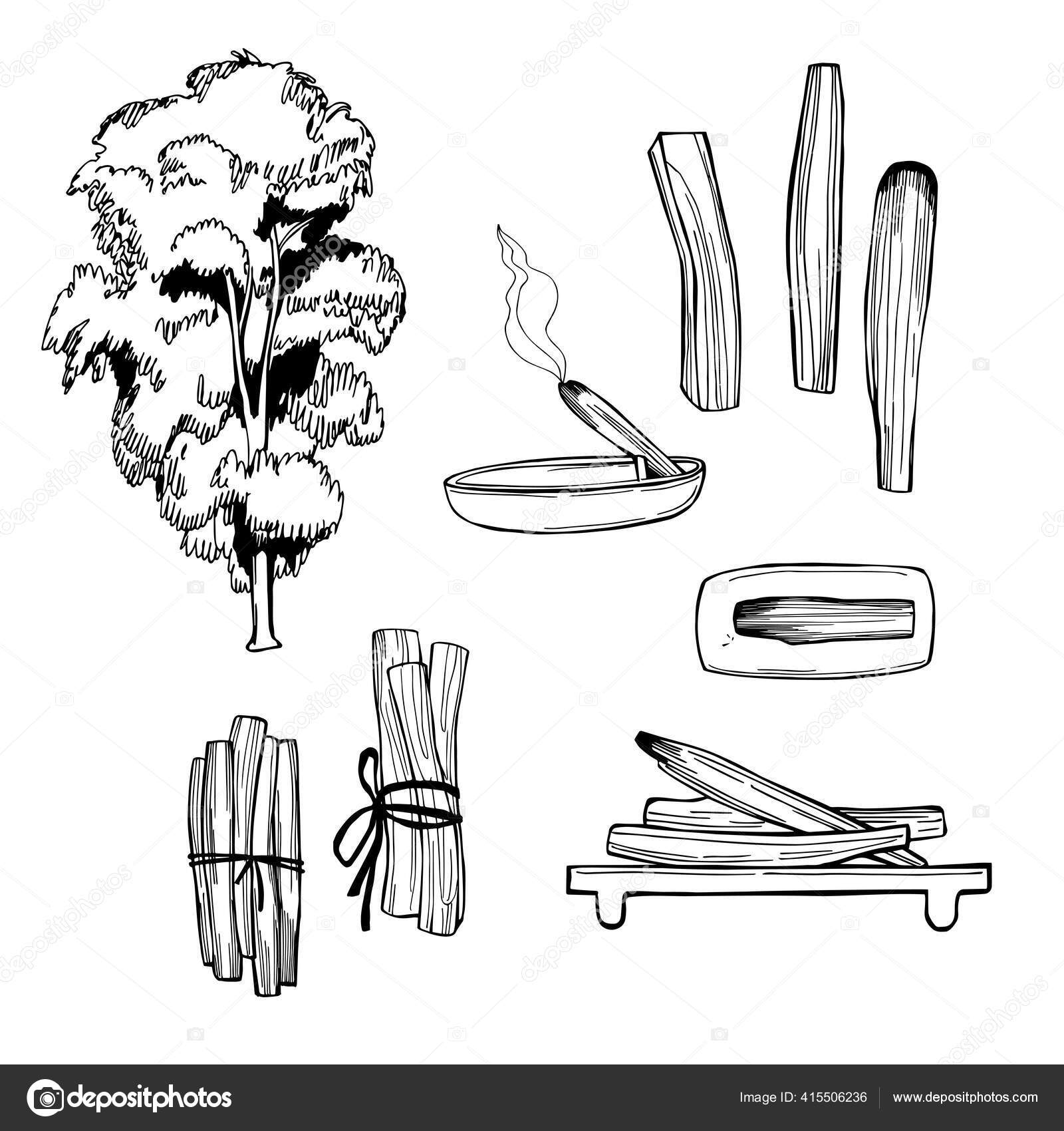73 Palo Santo Vector Images Palo Santo Illustrations Depositphotos