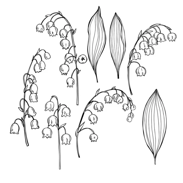 Met Hand Getekende Bloemen Witte Achtergrond Lelies Van Vallei Convallaria — Stockvector