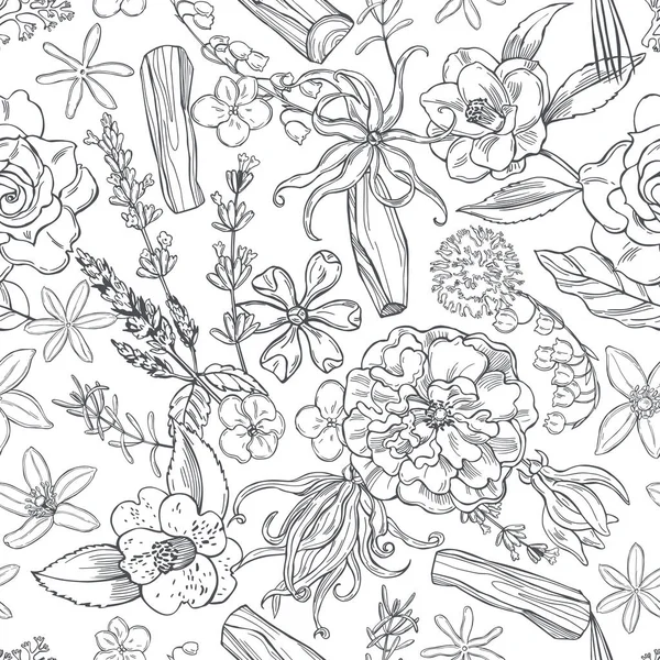 Hand drawn plants and flowers for perfumery.Vector  seamless pattern.