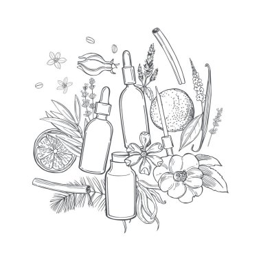 Aromaterapi. Gerekli yağlar. Vektör çizimi çizimi.