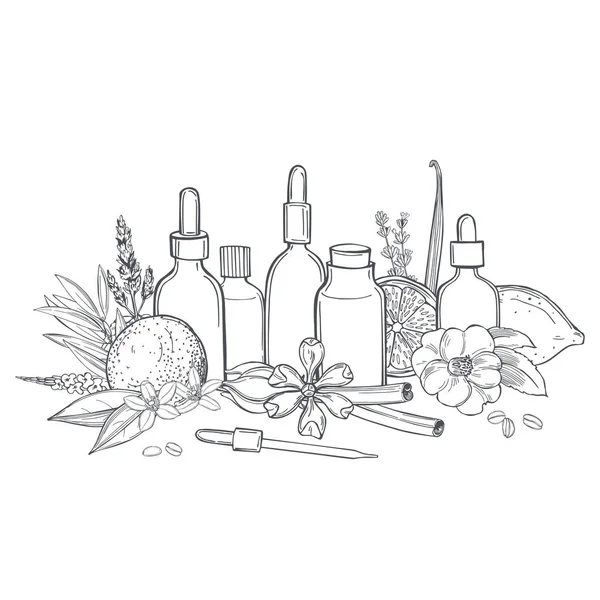 Aromaterapia Aceites Esenciales Dibujo Vectorial Ilustración — Archivo Imágenes Vectoriales