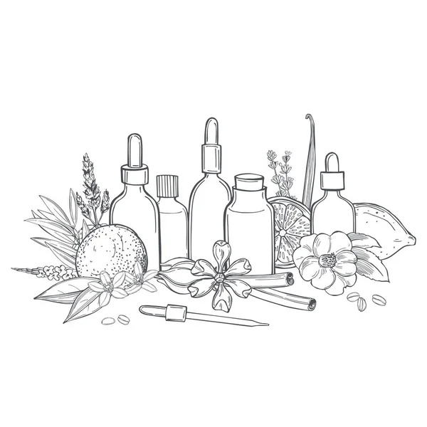 Aromatherapie Etherische Oliën Vector Schets Illustratie — Stockvector