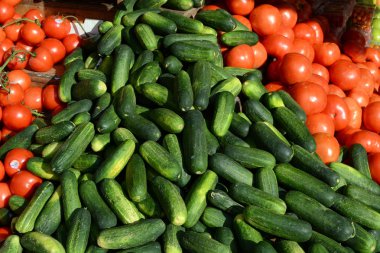 Salatalık dış köşe stok sebze bir ekranda yığını